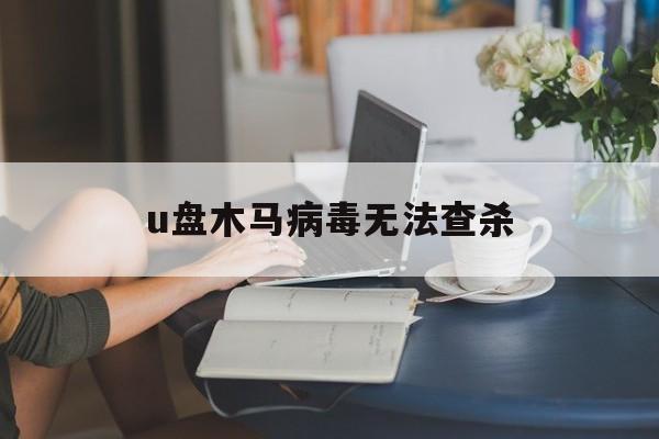 u盘木马病毒无法查杀（u盘中木马病毒怎么办）