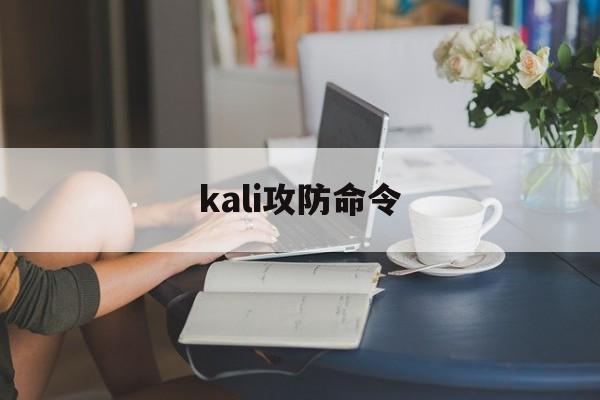 kali攻防命令（kaliddos攻击）