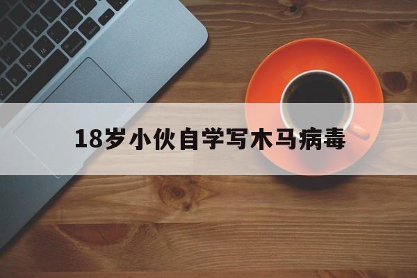 18岁小伙自学写木马病毒（怎么学木马病毒）