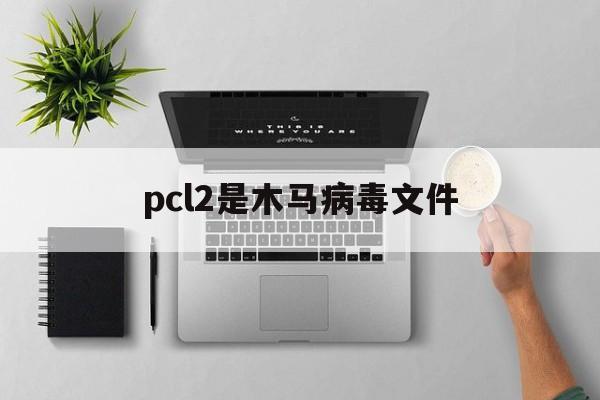 pcl2是木马病毒文件（pcp病毒是什么病毒）