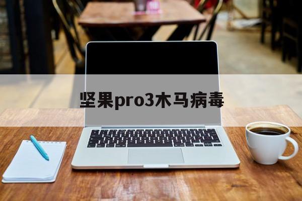 坚果pro3木马病毒（rootkit病毒解决方法视频）