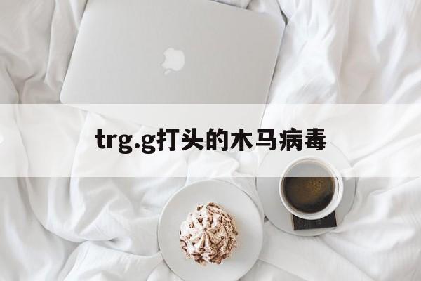 trg.g打头的木马病毒（病毒视频）