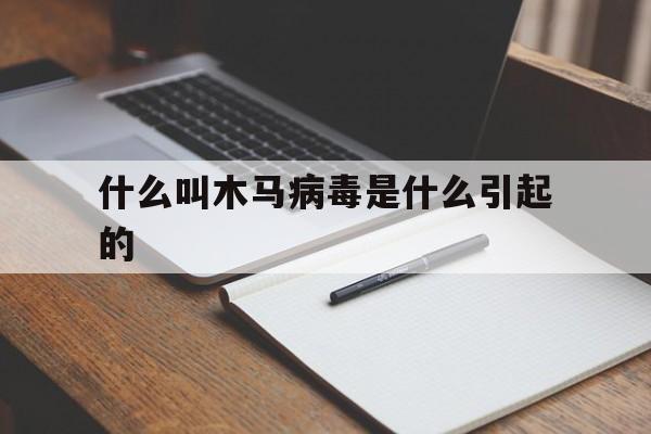 什么叫木马病毒是什么引起的（为什么称为木马病毒）