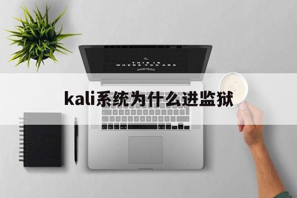 kali系统为什么进监狱（kali 从入门到入狱）