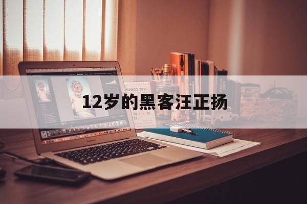 12岁的黑客汪正扬（中国最小黑客年仅12岁汪正扬）