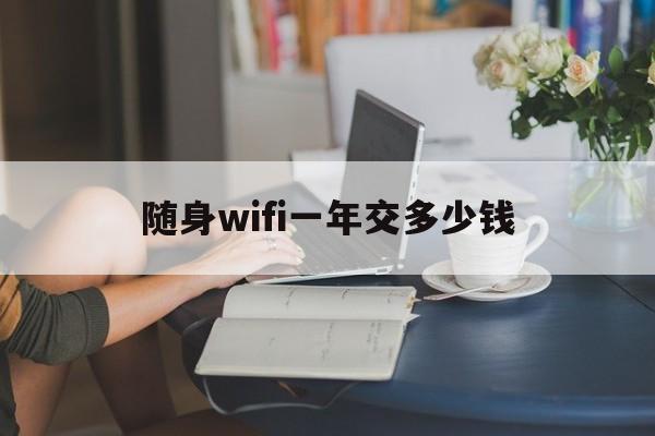 随身wifi一年交多少钱（随身wifi年费多少）