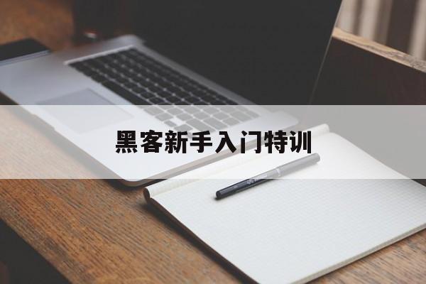 黑客新手入门特训（新手黑客教程）