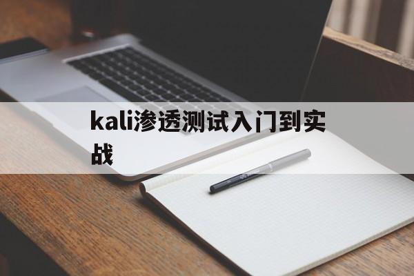 kali渗透测试入门到实战（kali渗透测试工具）