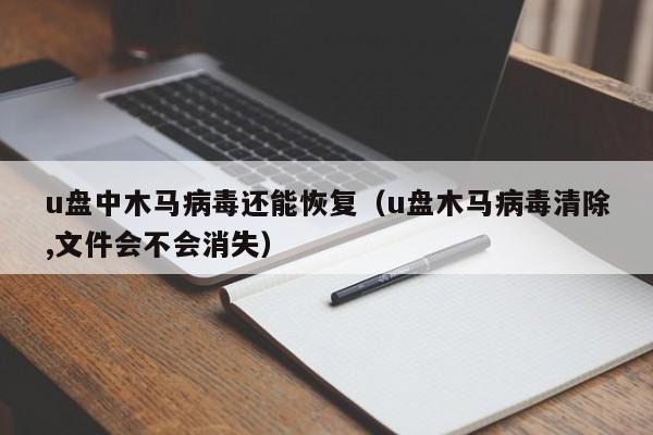 u盘中木马病毒还能恢复（u盘木马病毒清除,文件会不会消失）