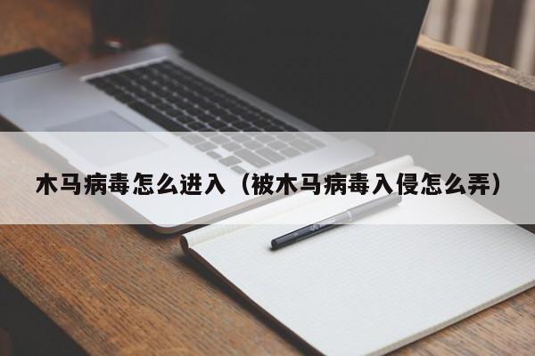 木马病毒怎么进入（被木马病毒入侵怎么弄）