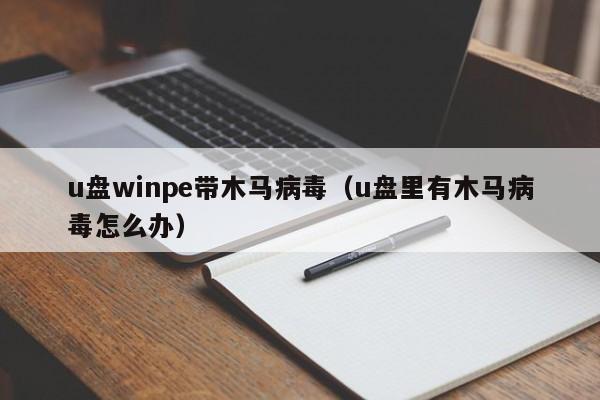 u盘winpe带木马病毒（u盘里有木马病毒怎么办）