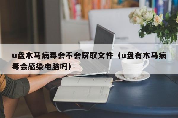 u盘木马病毒会不会窃取文件（u盘有木马病毒会感染电脑吗）