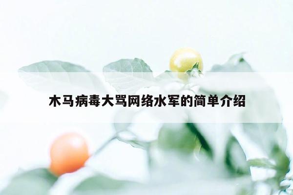 木马病毒大骂网络水军的简单介绍