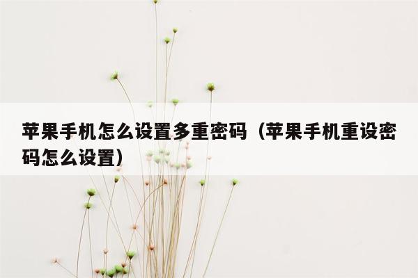 苹果手机怎么设置多重密码（苹果手机重设密码怎么设置）