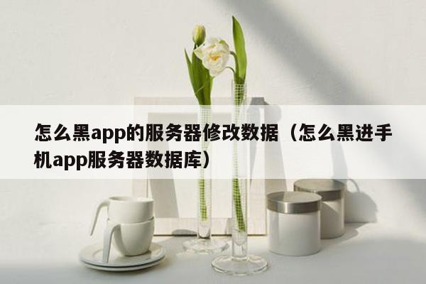 怎么黑app的服务器修改数据（怎么黑进手机app服务器数据库）