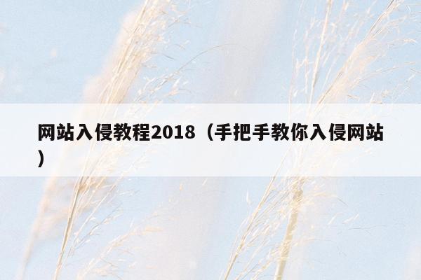 网站入侵教程2018（手把手教你入侵网站）