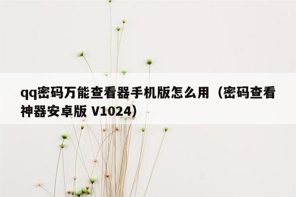 qq密码万能查看器手机版怎么用（密码查看神器安卓版 V1024）