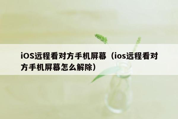 iOS远程看对方手机屏幕（ios远程看对方手机屏幕怎么解除）