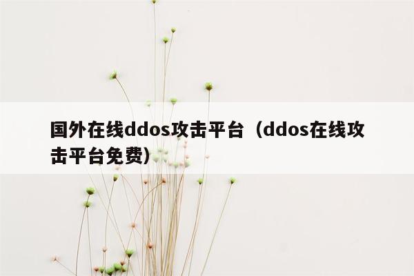 国外在线ddos攻击平台（ddos在线攻击平台免费）