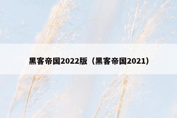 黑客帝国2022版（黑客帝国2021）