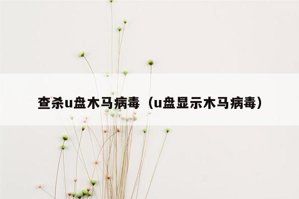 查杀u盘木马病毒（u盘显示木马病毒）