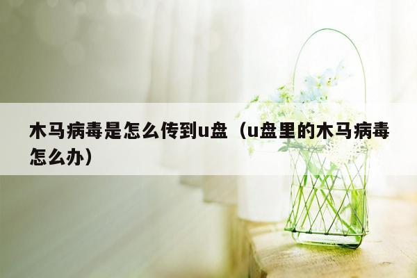 木马病毒是怎么传到u盘（u盘里的木马病毒怎么办）