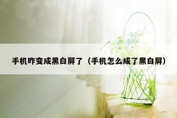 手机咋变成黑白屏了（手机怎么成了黑白屏）