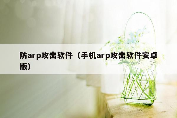 防arp攻击软件（手机arp攻击软件安卓版）