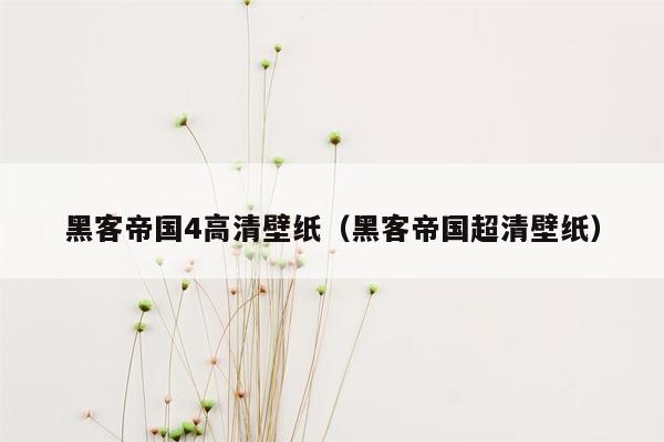 黑客帝国4高清壁纸（黑客帝国超清壁纸）