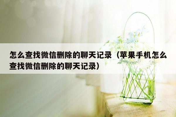 怎么查找微信删除的聊天记录（苹果手机怎么查找微信删除的聊天记录）