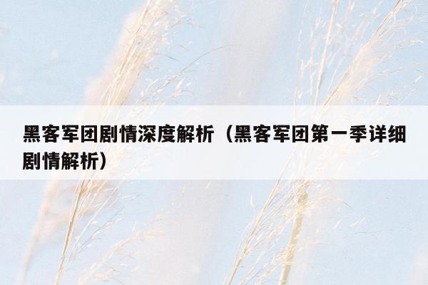 黑客军团剧情深度解析（黑客军团第一季详细剧情解析）