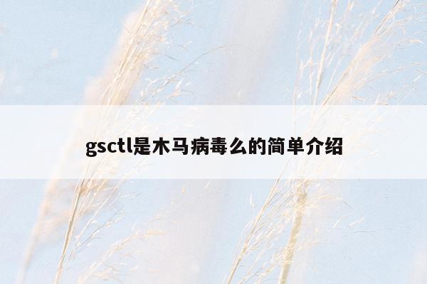 gsctl是木马病毒么的简单介绍