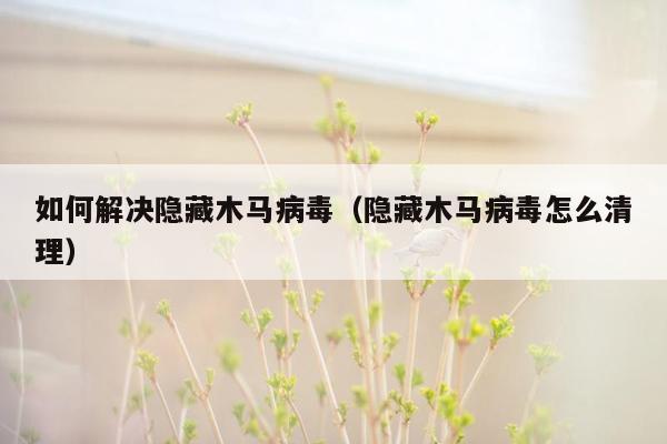 如何解决隐藏木马病毒（隐藏木马病毒怎么清理）