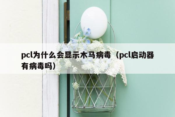 pcl为什么会显示木马病毒（pcl启动器有病毒吗）