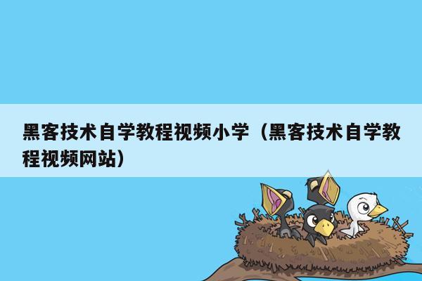 黑客技术自学教程视频小学（黑客技术自学教程视频网站）