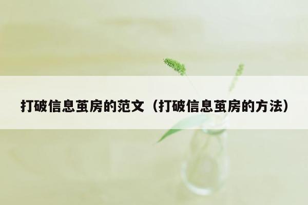 打破信息茧房的范文（打破信息茧房的方法）