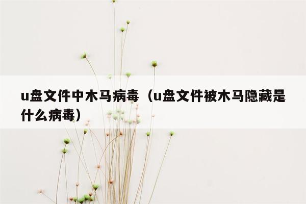 u盘文件中木马病毒（u盘文件被木马隐藏是什么病毒）