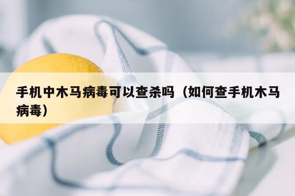 手机中木马病毒可以查杀吗（如何查手机木马病毒）