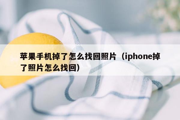 苹果手机掉了怎么找回照片（iphone掉了照片怎么找回）