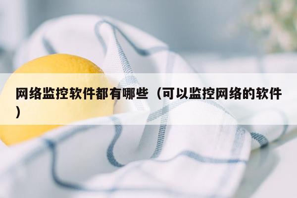 网络监控软件都有哪些（可以监控网络的软件）