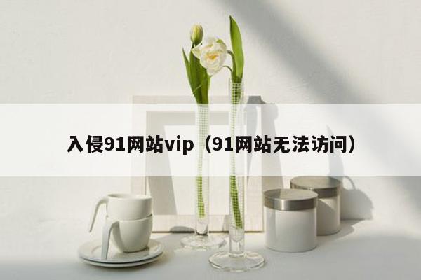 入侵91网站vip（91网站无法访问）