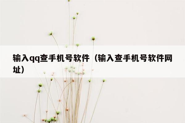 输入qq查手机号软件（输入查手机号软件网址）