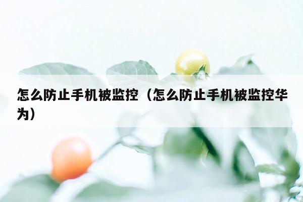 怎么防止手机被监控（怎么防止手机被监控华为）