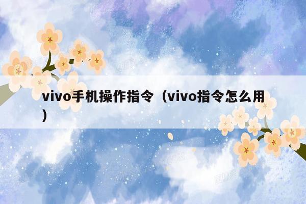 vivo手机操作指令（vivo指令怎么用）