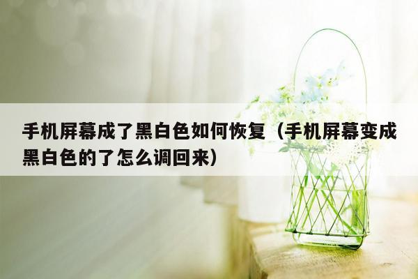 手机屏幕成了黑白色如何恢复（手机屏幕变成黑白色的了怎么调回来）