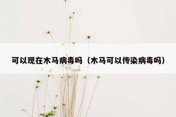 可以现在木马病毒吗（木马可以传染病毒吗）