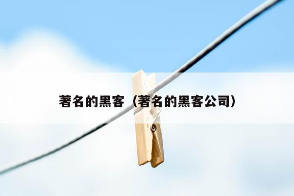 著名的黑客（著名的黑客公司）