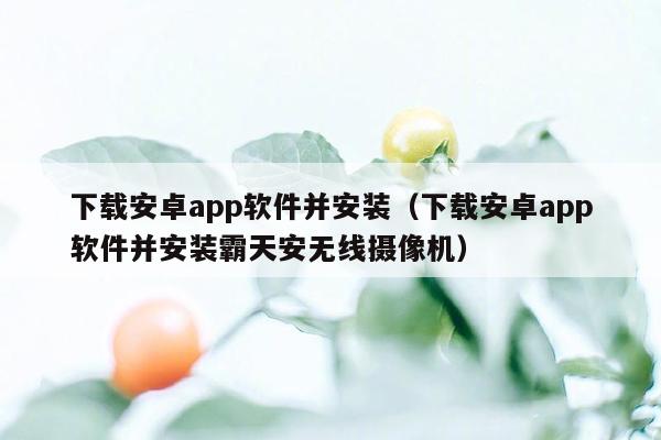 下载安卓app软件并安装（下载安卓app软件并安装霸天安无线摄像机）