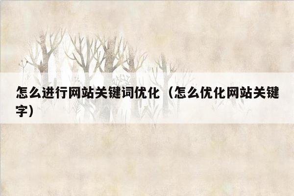 怎么进行网站关键词优化（怎么优化网站关键字）