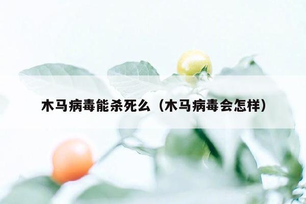 木马病毒能杀死么（木马病毒会怎样）